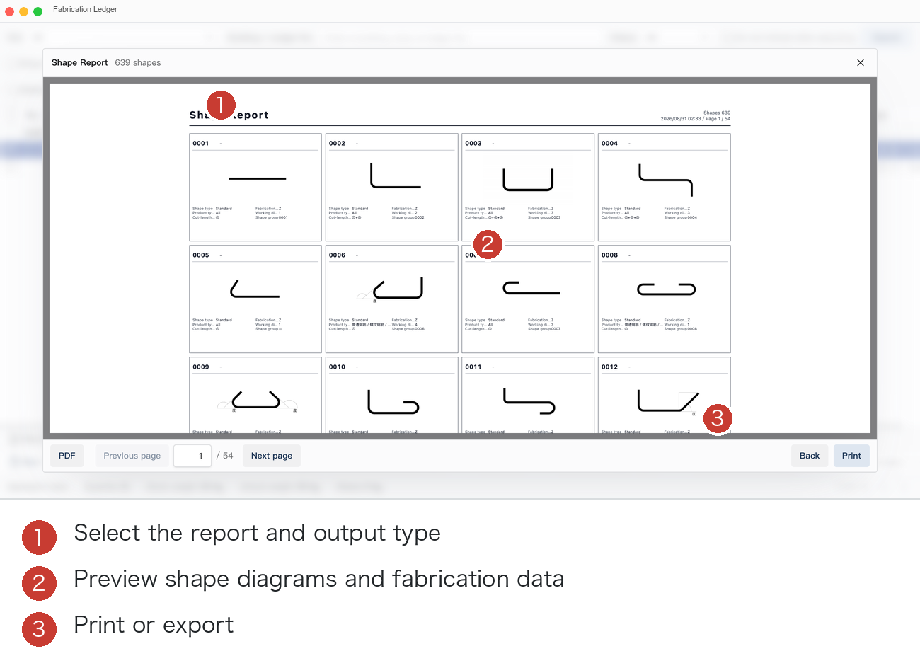 Shape Report and Output Entry Point